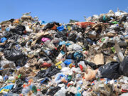 Let’s make a trash person famous!